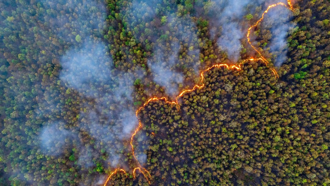 ρεκόρ-καταστροφής-το-2024-χάθηκε-ένας-πα-563623693