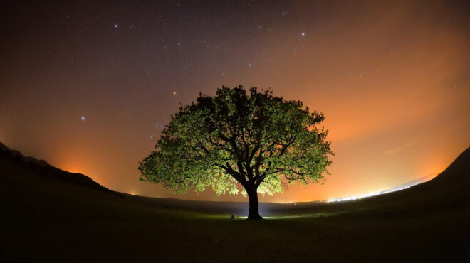 βρετανία-ενοχοι-οι-δύο-άνδρες-που-έκοψ-563603536