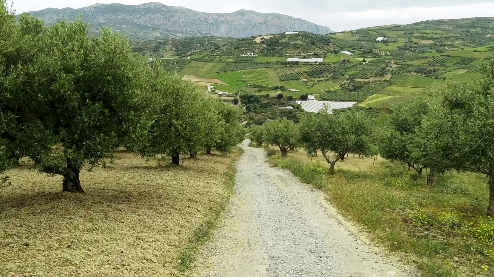 Πρόγραμμα εξοικονόμησης νερού «Zero Drop»: Γιατί κάθε σταγόνα νερού μετράει-3