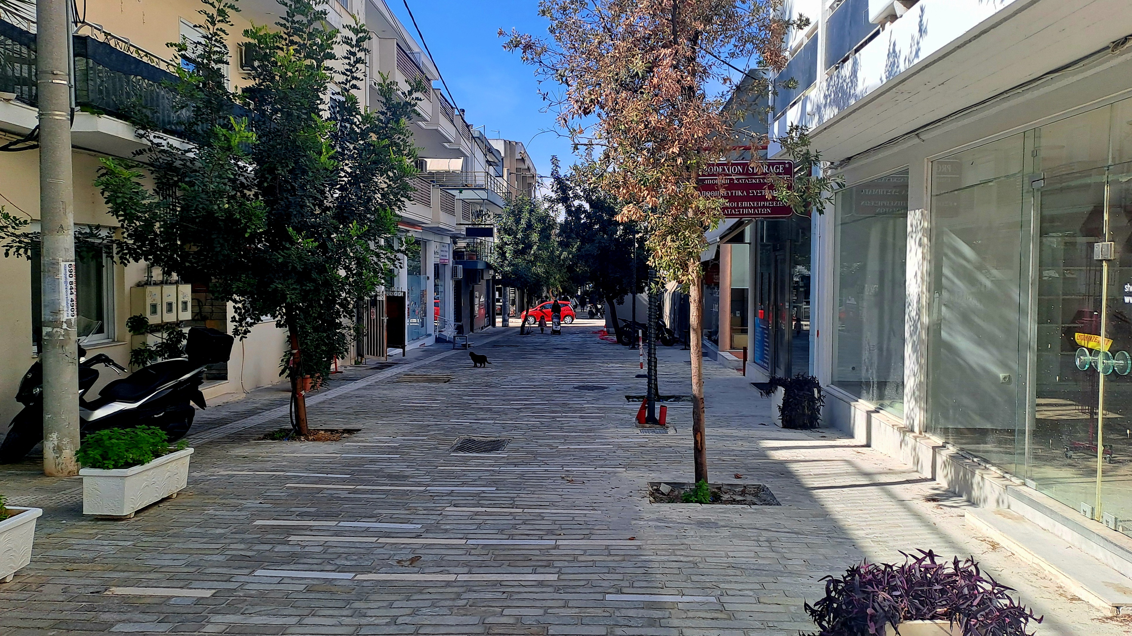 Ο μεγάλος περίπατος στο Χαλάνδρι-3