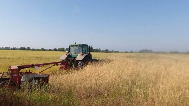 νέα-καινοτόμα-πρότυπα-βιωσιμότητας-σ-563646736
