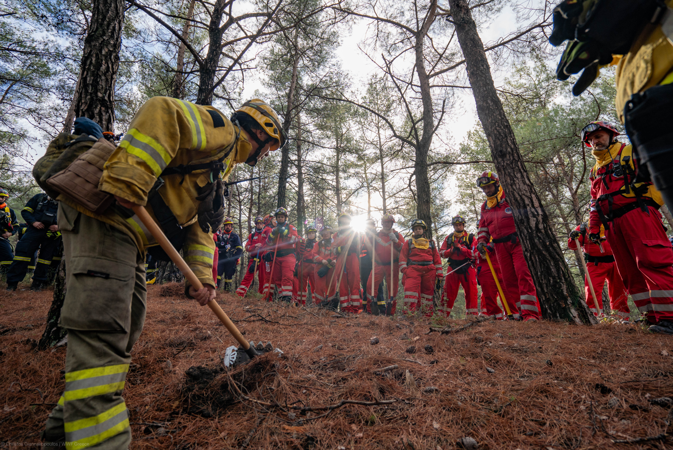 Οι εθελοντές στη μάχη για προστασία των δασών μας-1