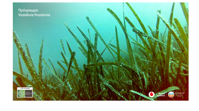 πρόγραμμα-vodafone-posidonia-στο-φως-περισσότερα-λιβ-563672932
