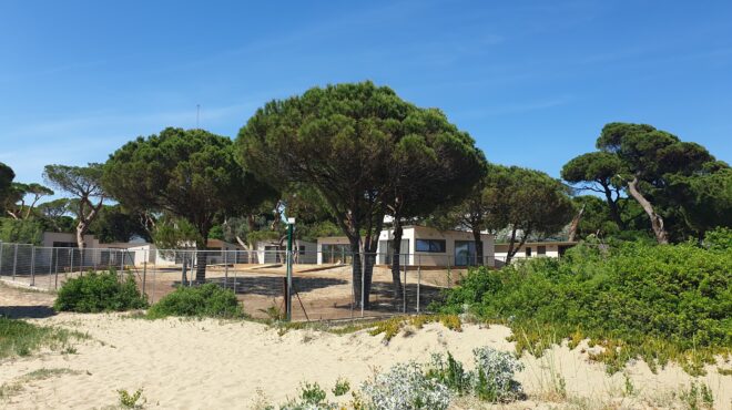 σχινιάς-αυτοψία-υπεν-και-οικονομικής-563660608