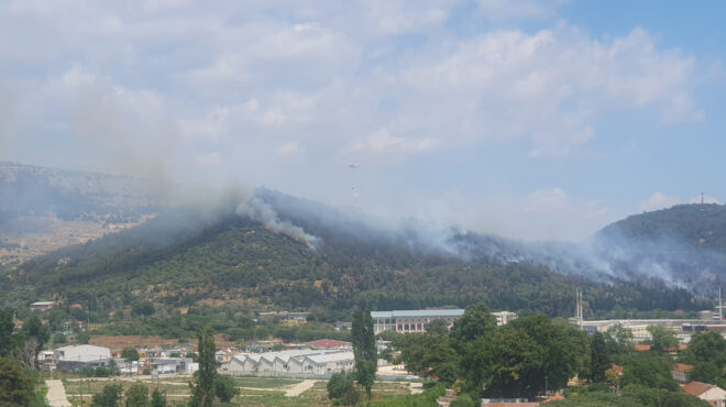 καβάλα-eσβησε-η-φωτιά-που-ξέσπασε-στην-563688940
