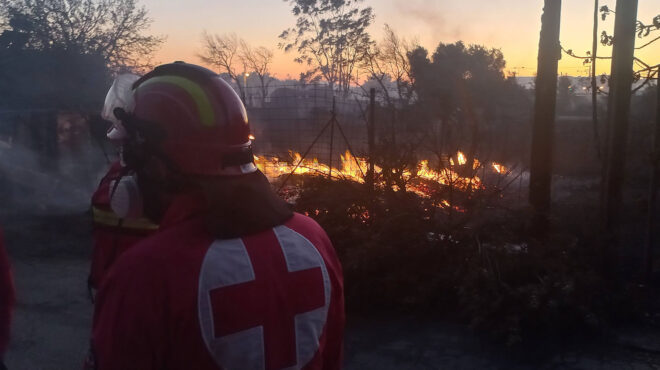 οριοθετήθηκε-η-πυρκαγιά-σε-αγροτοδασ-563689219