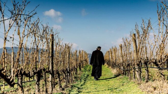 τα-κρασιά-του-αγίου-ορους-η-ιστορία-και-563654935