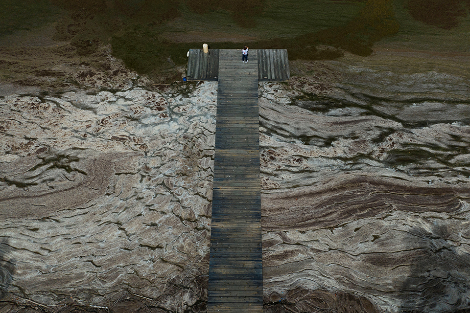 Σαρδέλες Νοτίου Αφρικής-1