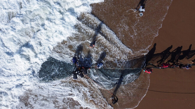 σαρδέλες-νοτίου-αφρικής-563647600