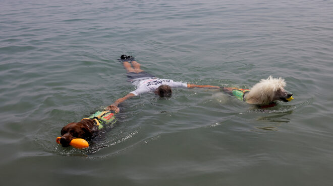 οι-ναυαγοσώστες-563665393