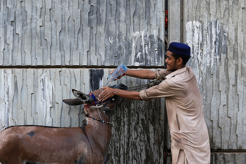 Οι ναυαγοσώστες-3