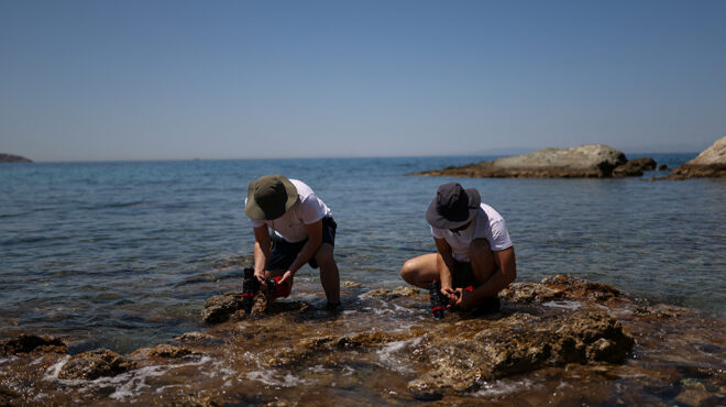 φυτεύοντας-δάση-στην-νήσο-γυάρο-563667397