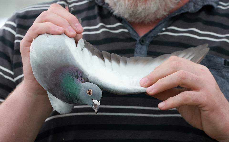 Να γιορτάσουμε το κολύμπι-2