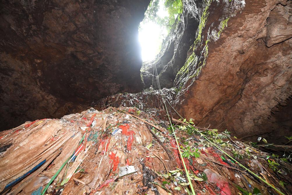 Το δάσος που έκρυβε στα σπλάχνα του «μια περιβαλλοντική βόμβα»-1
