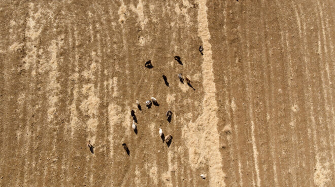 ο-πόλεμος-για-το-μονοπώλιο-στον-οπεκ-563663623