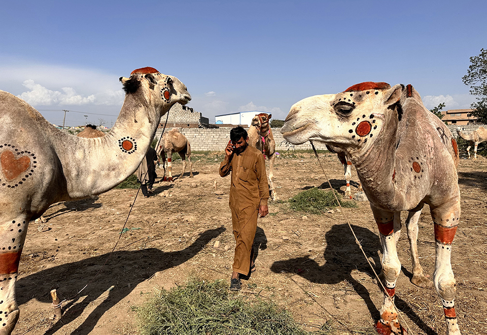 Σαν νεογέννητο μωρό-1