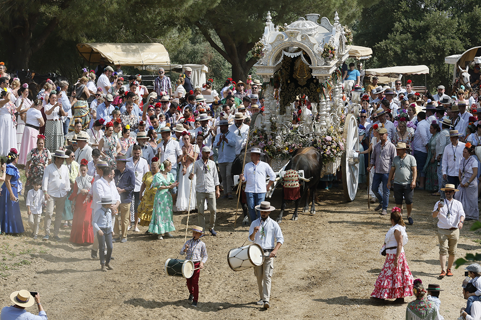 Σαρδέλες Νοτίου Αφρικής-2
