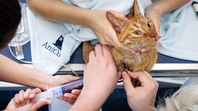 οι-δωρητές-563658736