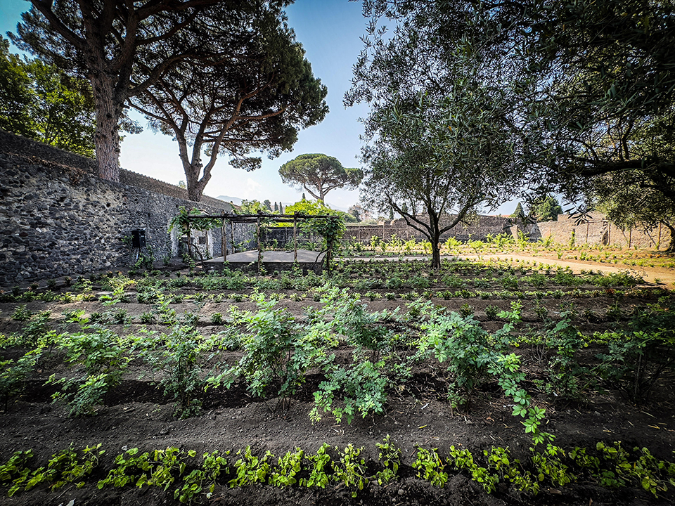 Οι δωρητές-1