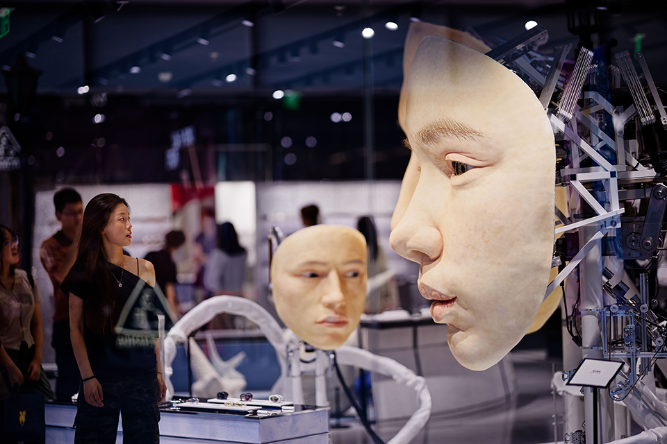 Μια παραγκούπολη για τα πεντάστερα-3