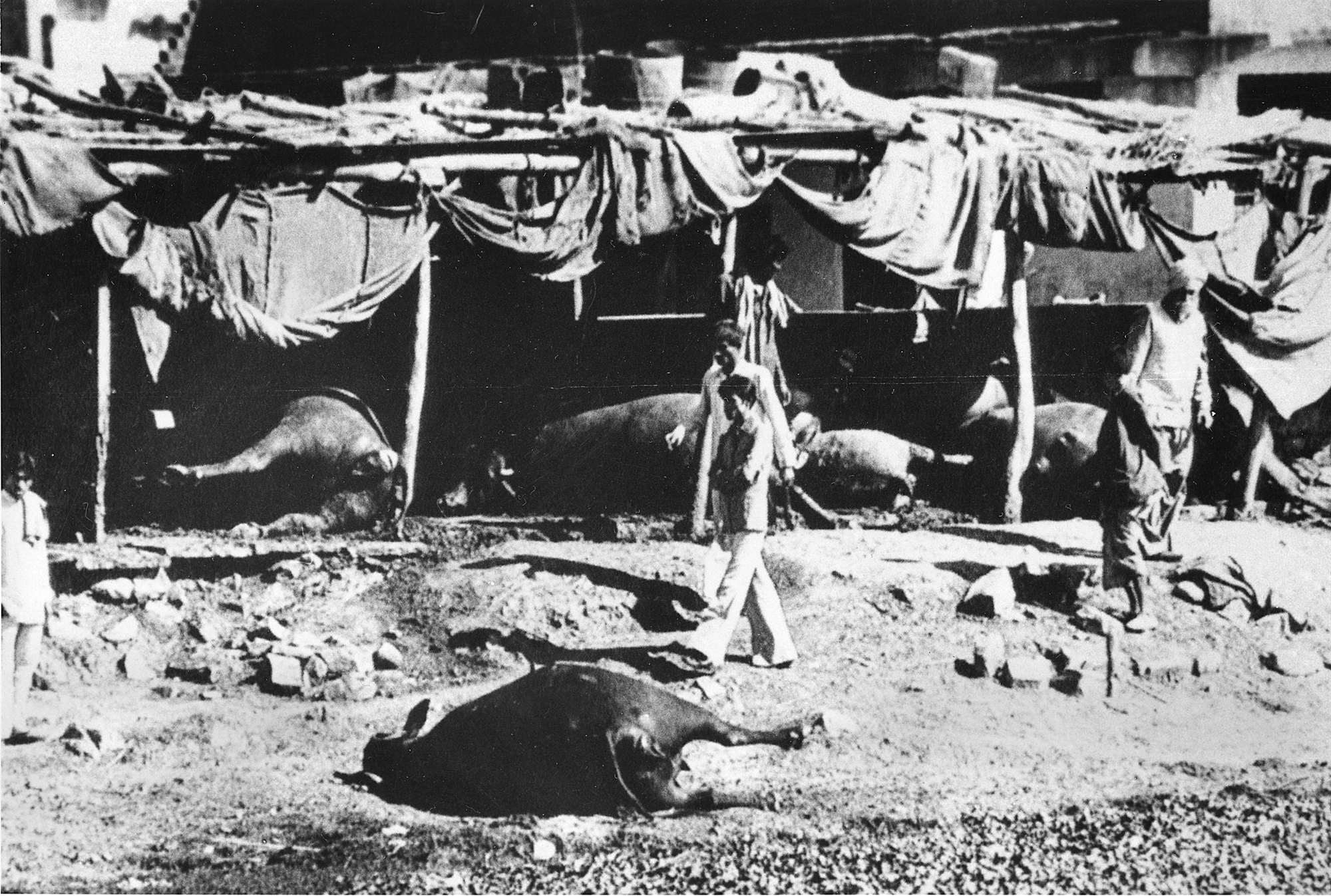 Μποπάλ, το χρονικό ενός τοξικού εφιάλτη-3