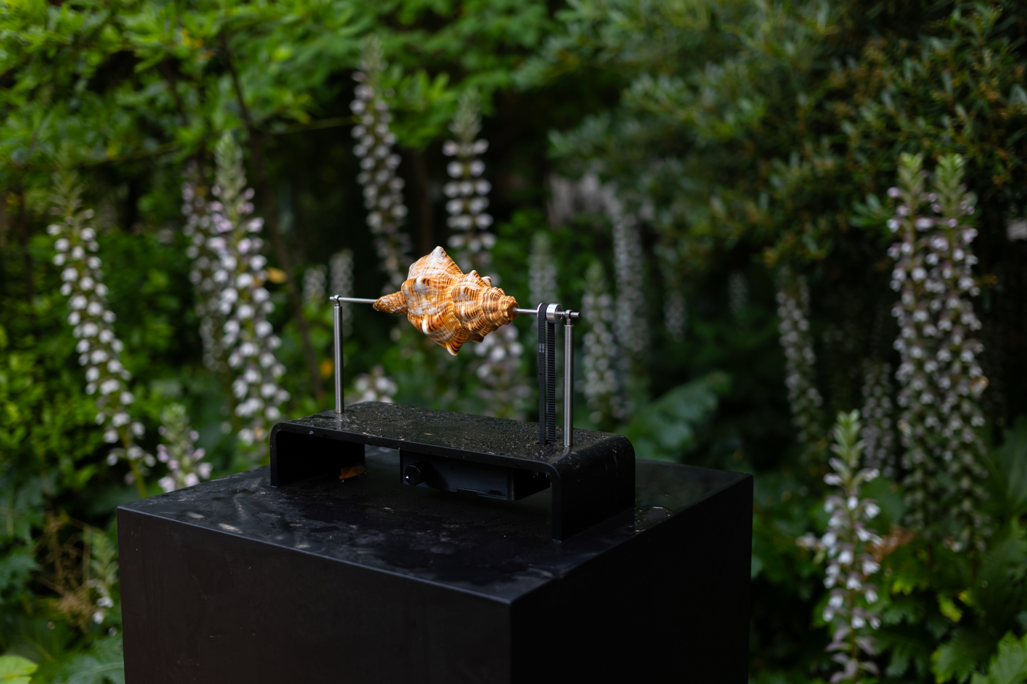 Plasmata της φαντασίας-3