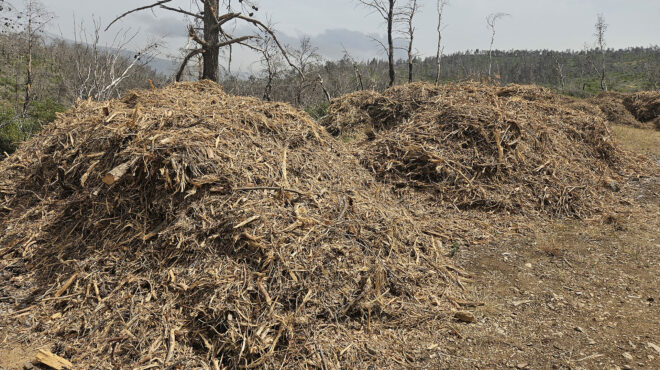 καθαρισμός-οικοπέδων-τι-θα-ελέγχει-η-π-563647468