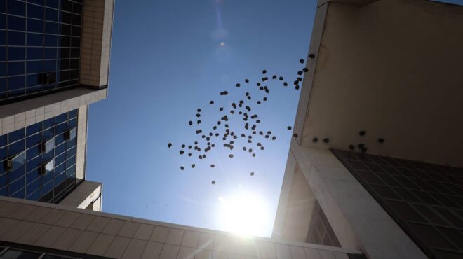 αθάνατοι-120-μαύρα-μπαλόνια-πάνω-από-563646763