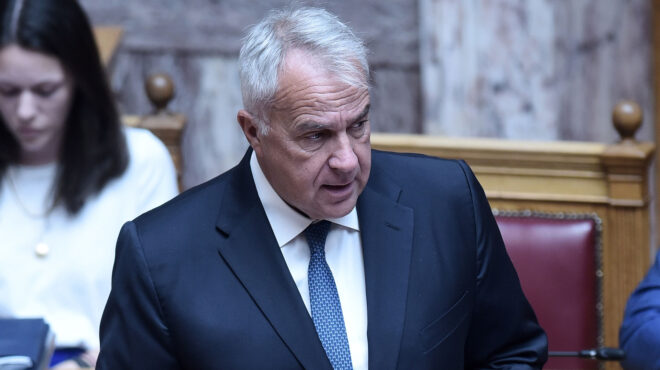 βορίδης-επανεξέταση-των-ασύλων-που-χο-563665246