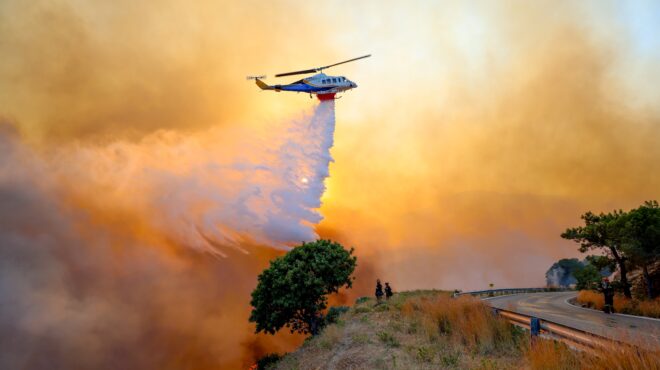 χίος-στάχτη-πάνω-από-220-000-στρέμματα-την-τ-563680774