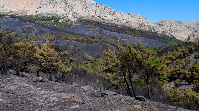 χίος-ενδείξεις-εμπρησμού-για-την-πυρκ-563682670