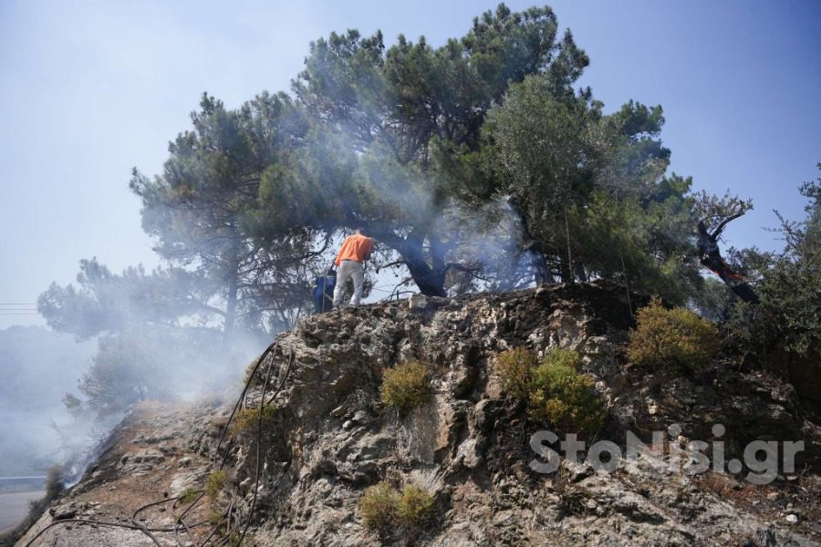 Φωτιά στη Λέσβο: Επιχειρούν ισχυρές δυνάμεις, ήχησε το 112-1