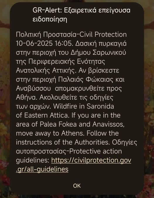 Υπό έλεγχο η φωτιά στην Ανάβυσσο – Μήνυμα από το «112» για εκκένωση-1