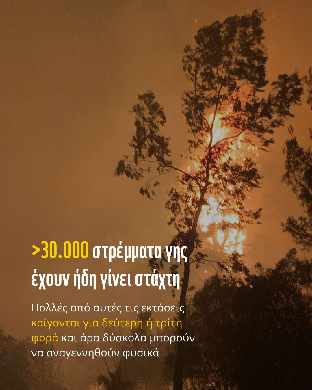 Χίος: Σε επιφυλακή για αναζωπυρώσεις, ξεκινά η καταγραφή των ζημιών – Χάρτης με τις καμένες εκτάσεις-2