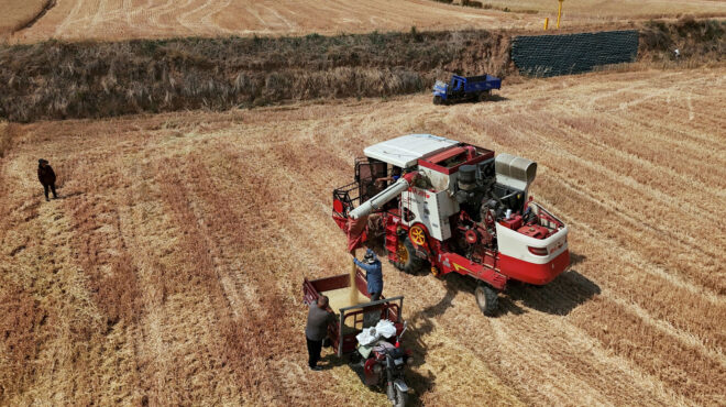 ανοδος-στις-τιμές-των-τροφίμων-λόγω-πα-563683261