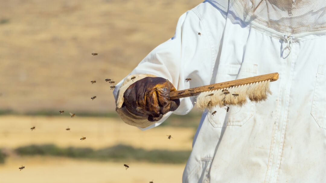 υπόθεση-οπεκεπε-ζήτησαν-95-εκατ-μόνο-γι-563674423
