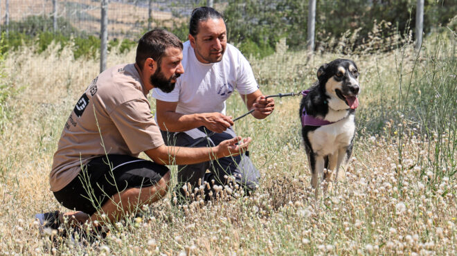 ενας-φίλος-για-τα-δύσκολα-563687905