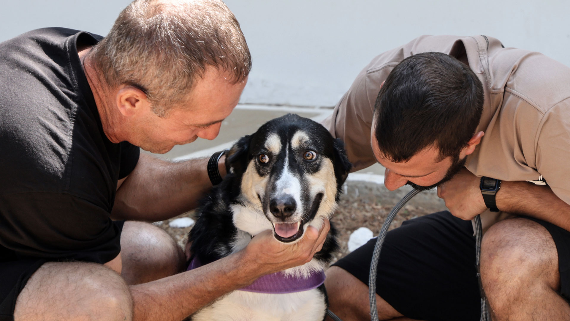 Ενας φίλος για τα δύσκολα-4