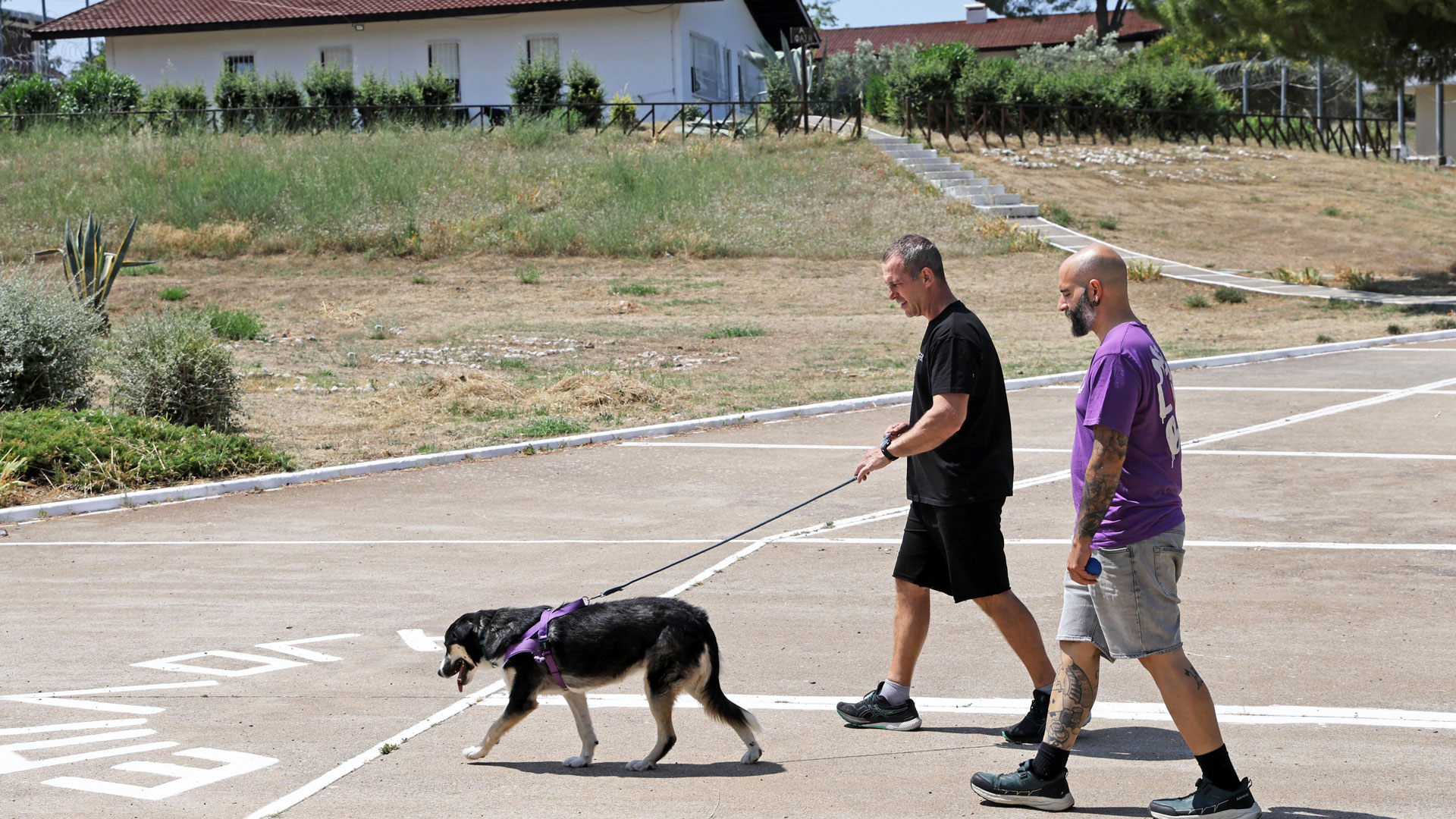 Ενας φίλος για τα δύσκολα-3