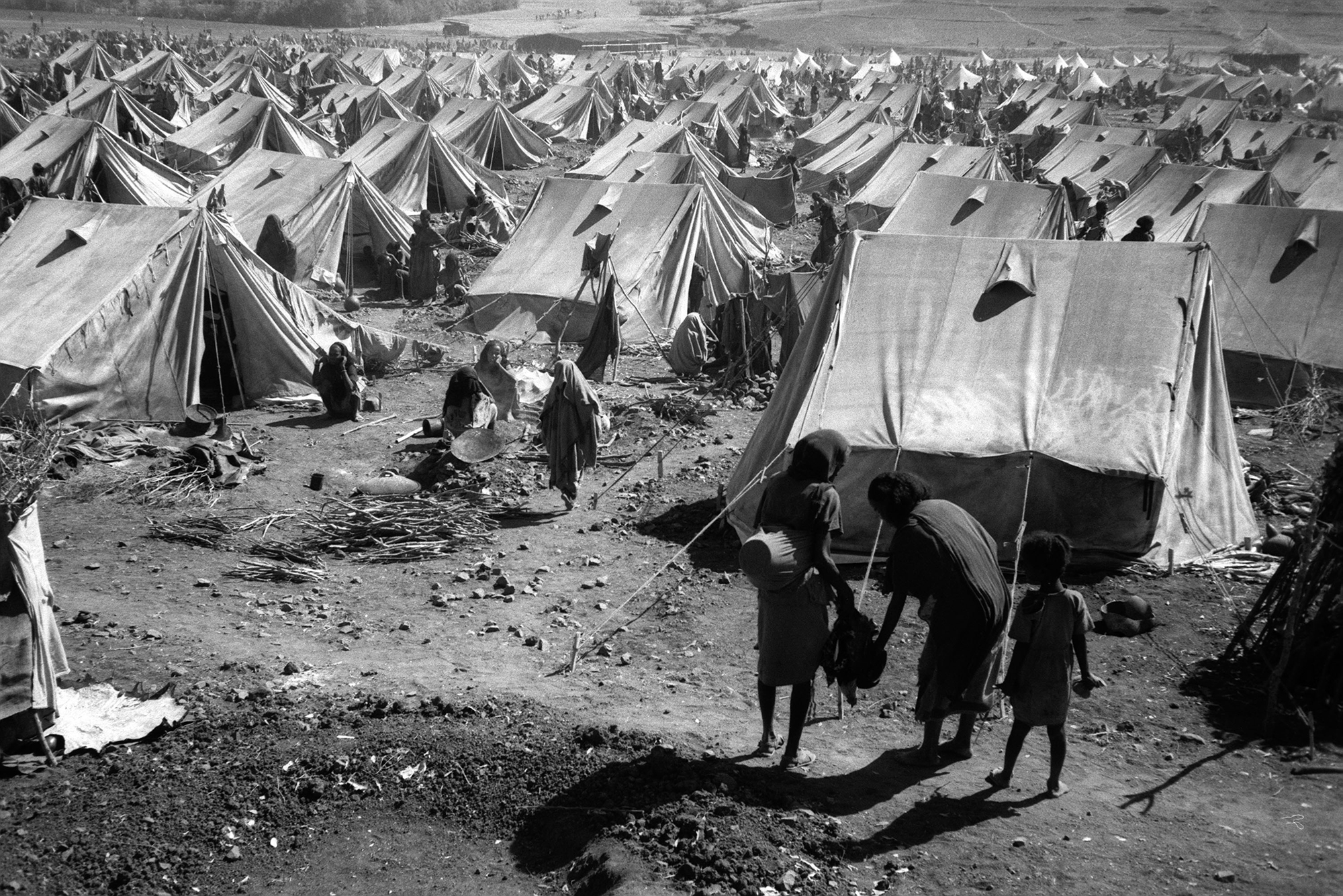 Ο λιμός που συγκλόνισε την ανθρωπότητα-4