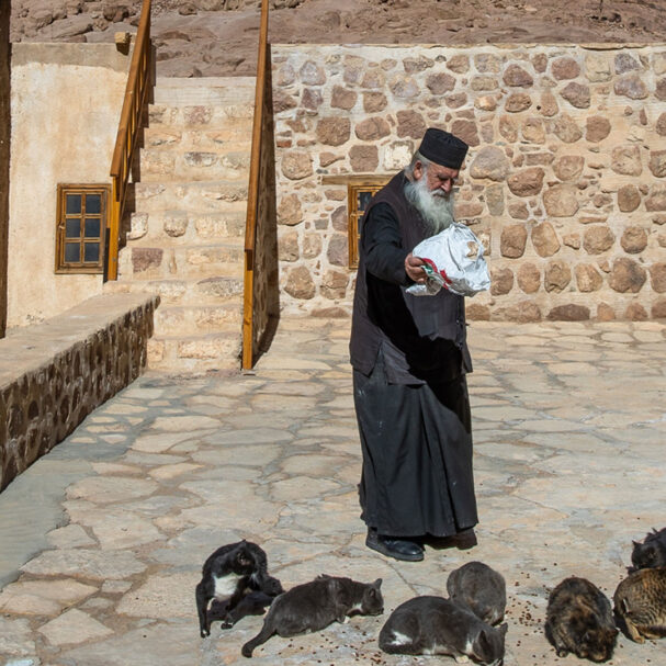 οχυρώνονται-στο-δεδικασμένο-563654065