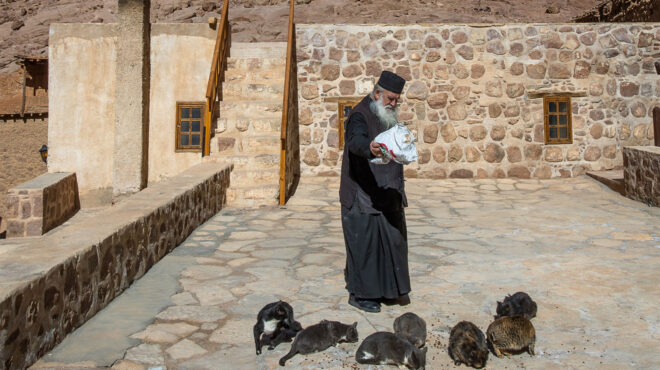 συνάντηση-τασούλα-με-τον-αρχιεπίσκοπ-563654065