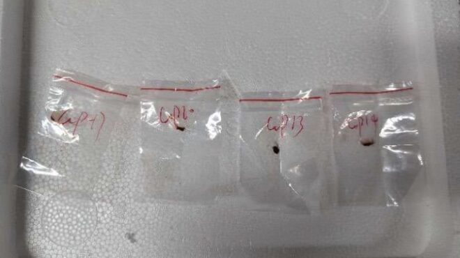 fbi-διώξεις-εις-βάρος-δύο-κινέζων-για-αγ-563648698