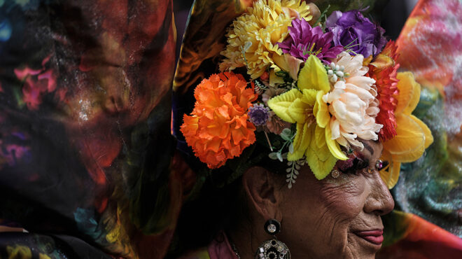 λίγα-άνθη-563690533