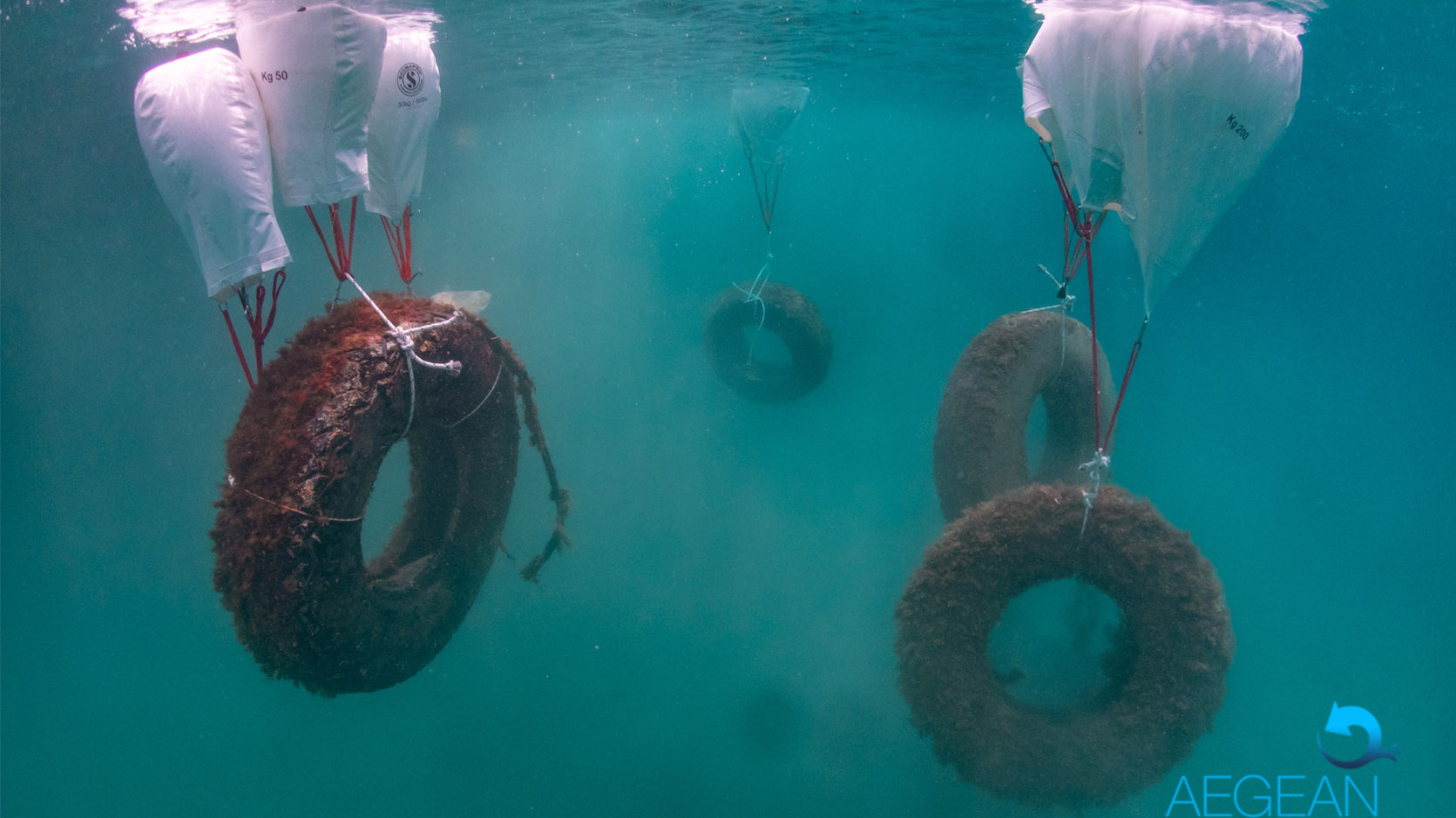 «Τα βγάλατε όλα αυτά από τη θάλασσα της Αλοννήσου;»-1