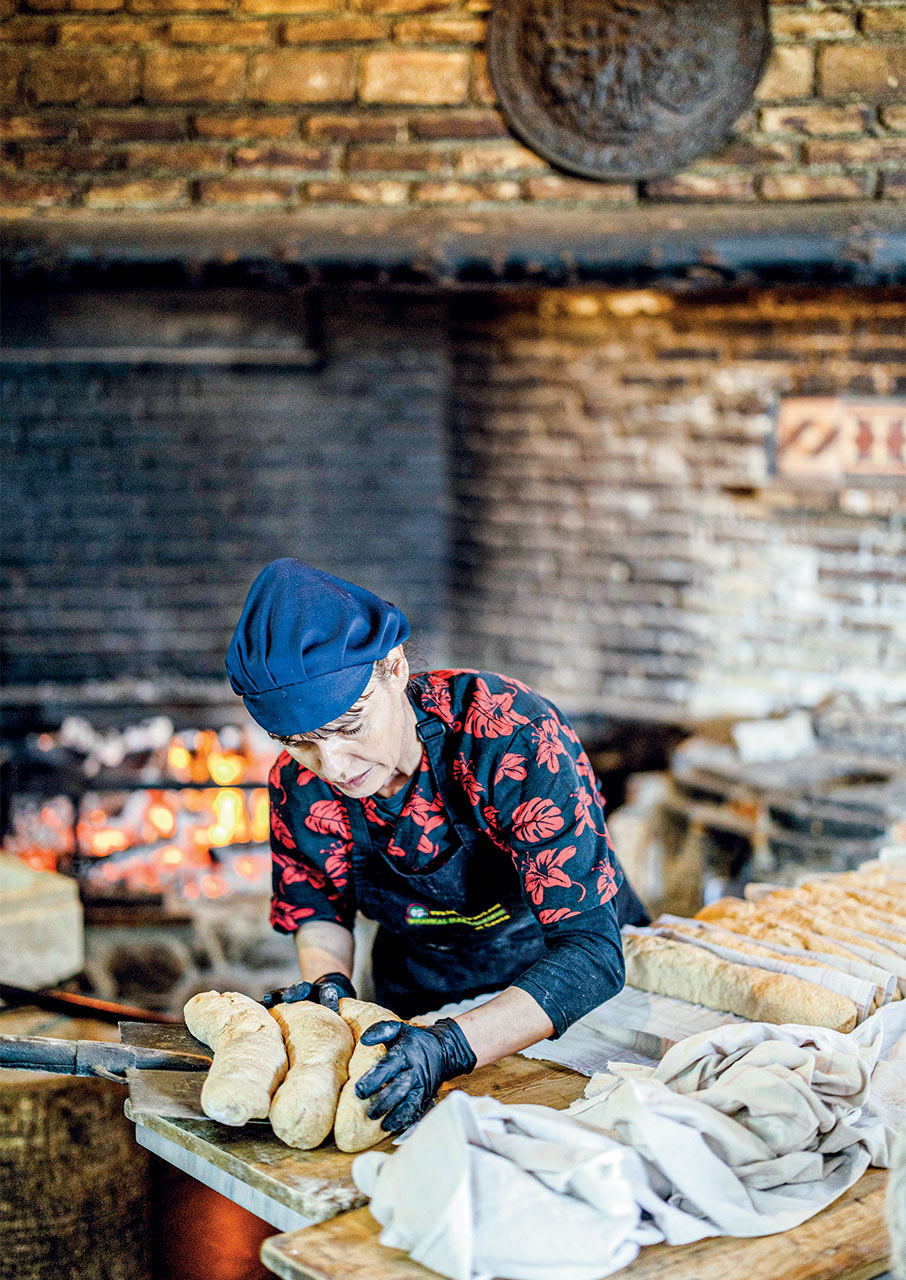 Βοτανικός Κήπος Κρήτης: 200 στρέμματα βιοποικιλότητας στις πλαγιές των Λευκών Ορέων-7