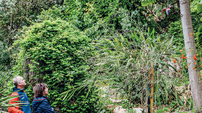 sta-chania-gia-ta-teleytaia-mpania-tis-chronias-563656102