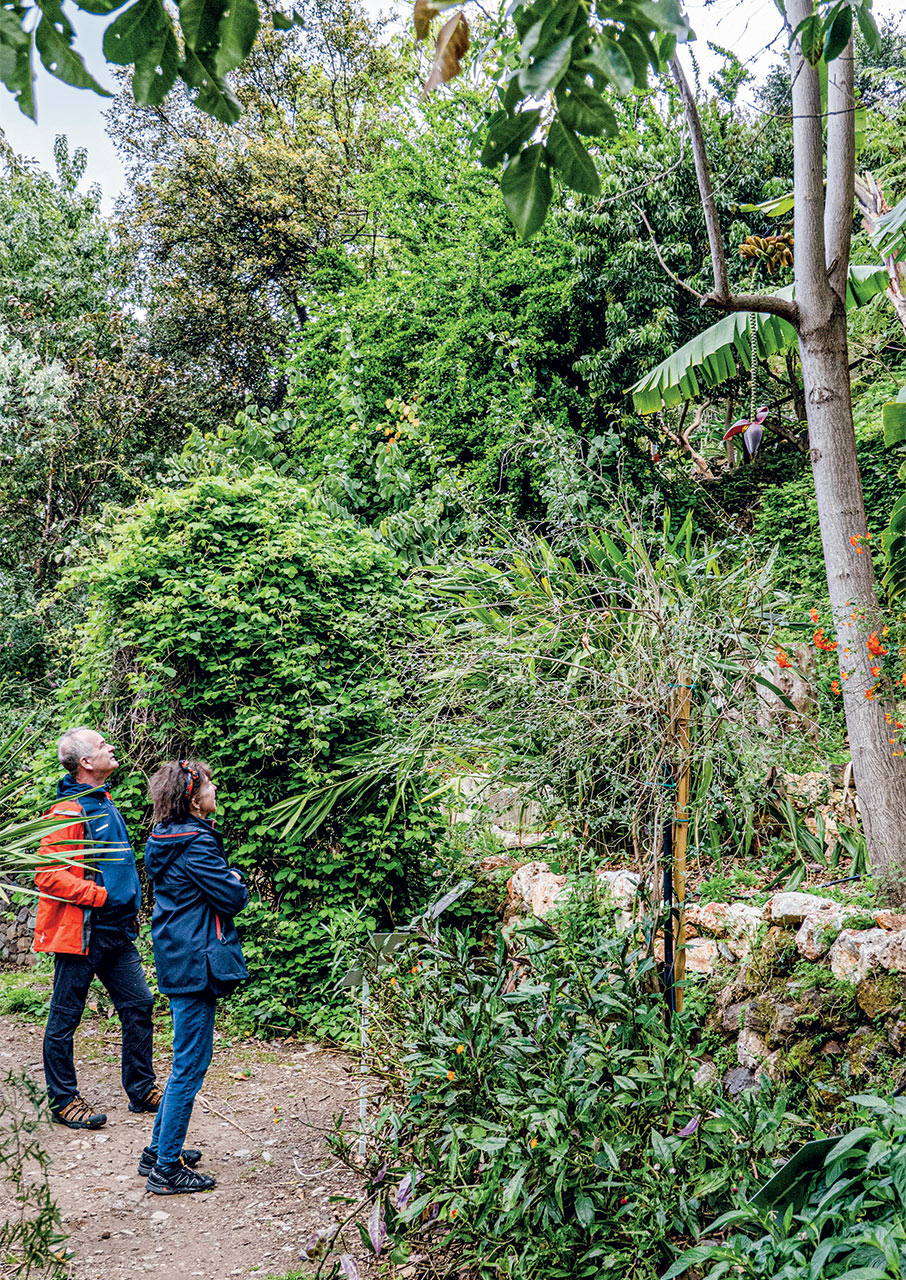 βοτανικός-κήπος-κρήτης-200-στρέμματα-βι-563656102