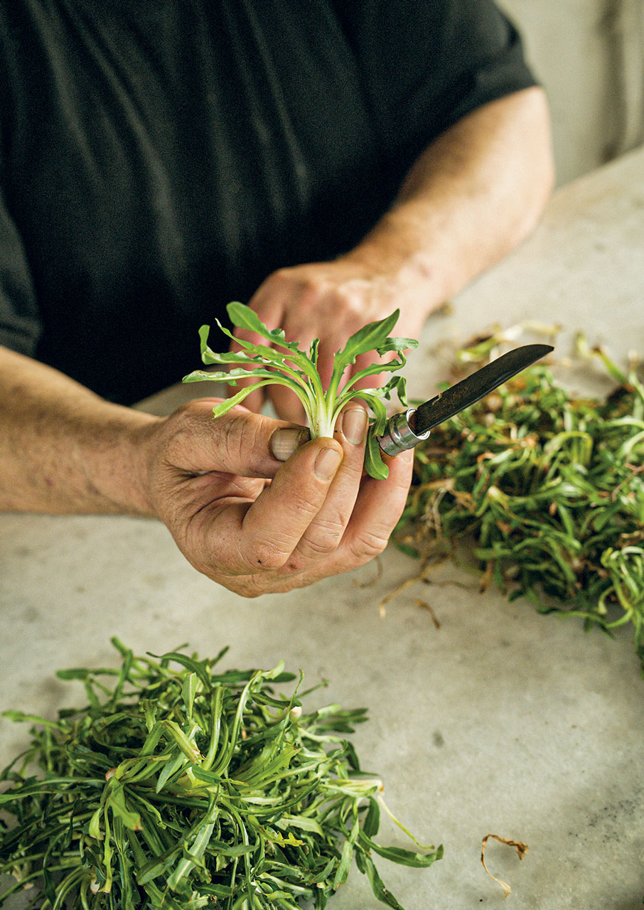 Από τη γη στο τραπέζι: Ο γαστρονομικός πλούτος των Χανίων-8
