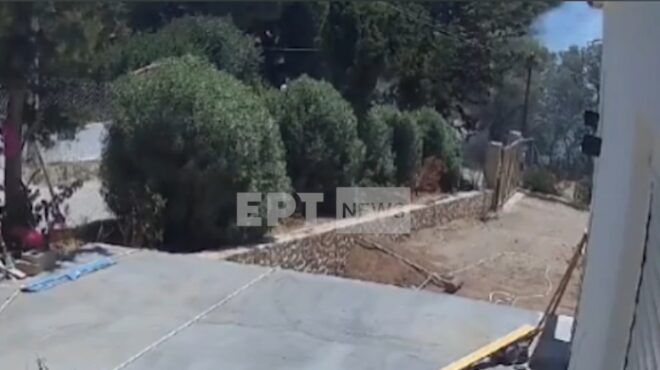 πώς-ξεκίνησε-η-μεγάλη-φωτιά-στο-θυμάρι-563688478